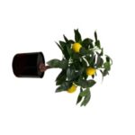 Διακοσμητικό τεχνητό γλαστράκι λεμονιά