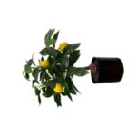 Διακοσμητικό τεχνητό γλαστράκι λεμονιά