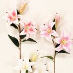 Διακοσμητικό κλαδί λίλιουμ real touch