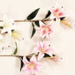 Διακοσμητικό κλαδί λίλιουμ real touch