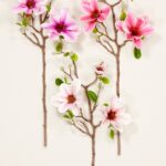 διακοσμητικο κλαδι μανωλια